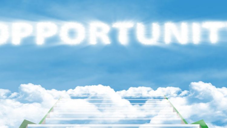 English to Dutch Translator Career Opportunities