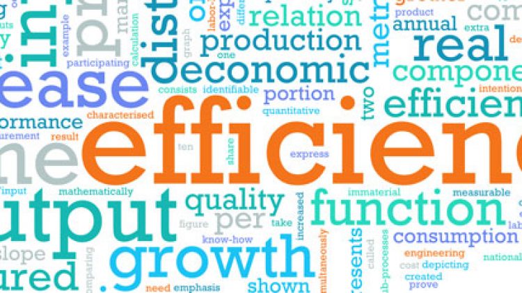 Handling Challenges in Professional Website Translation